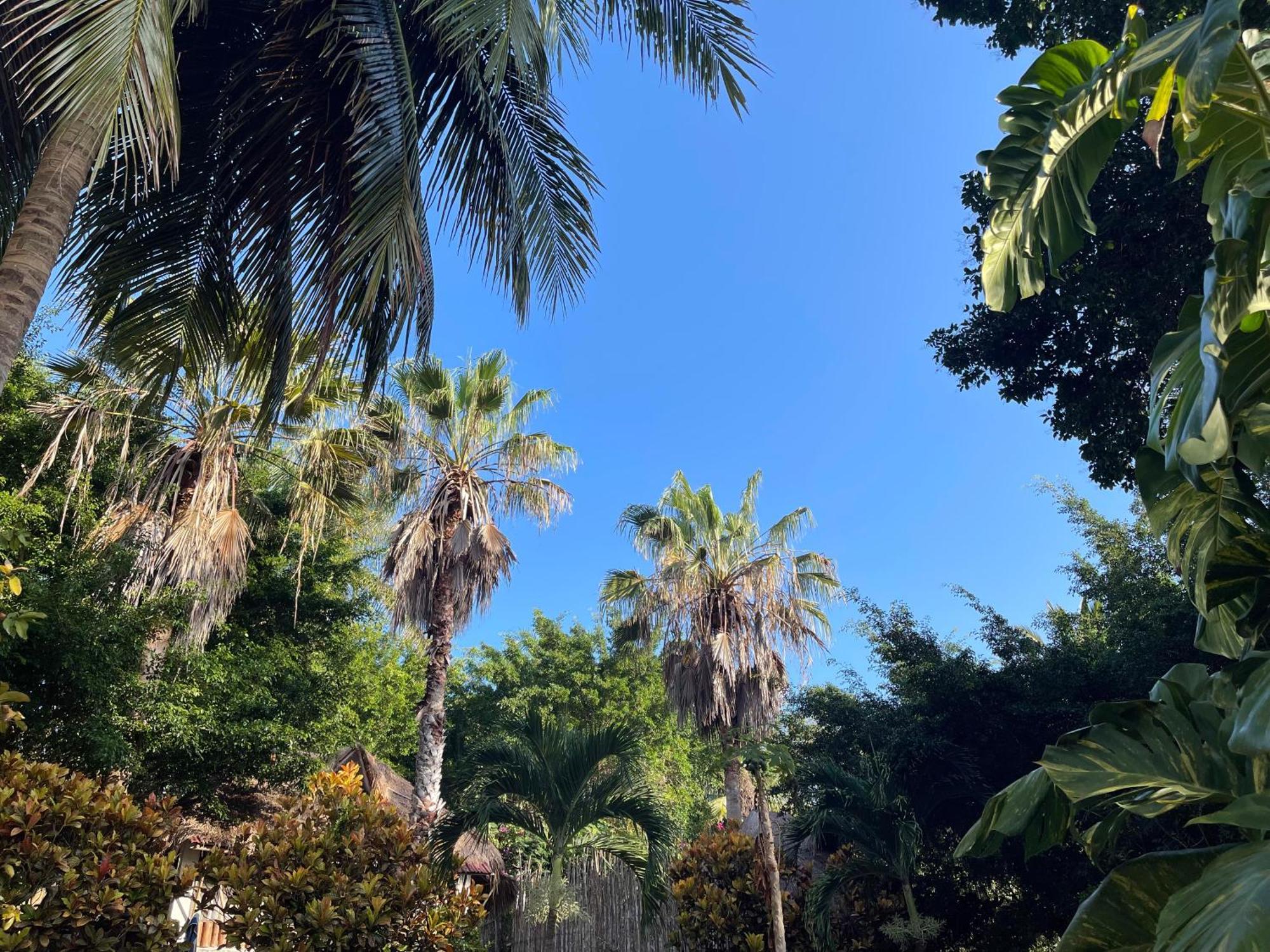 Villa Santuario Lake Front Oasis 巴卡拉尔 外观 照片
